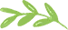 Green leaf