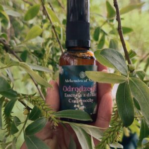 MGIEŁKA Z DZIKIEJ CZEREMECHY - ODRODZENIE BAZA 30ML