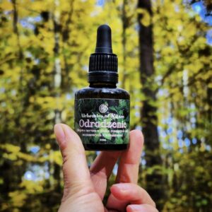 ODRODZENIE - ZIOŁOWY OLEJEK DO TWARZY 30ML